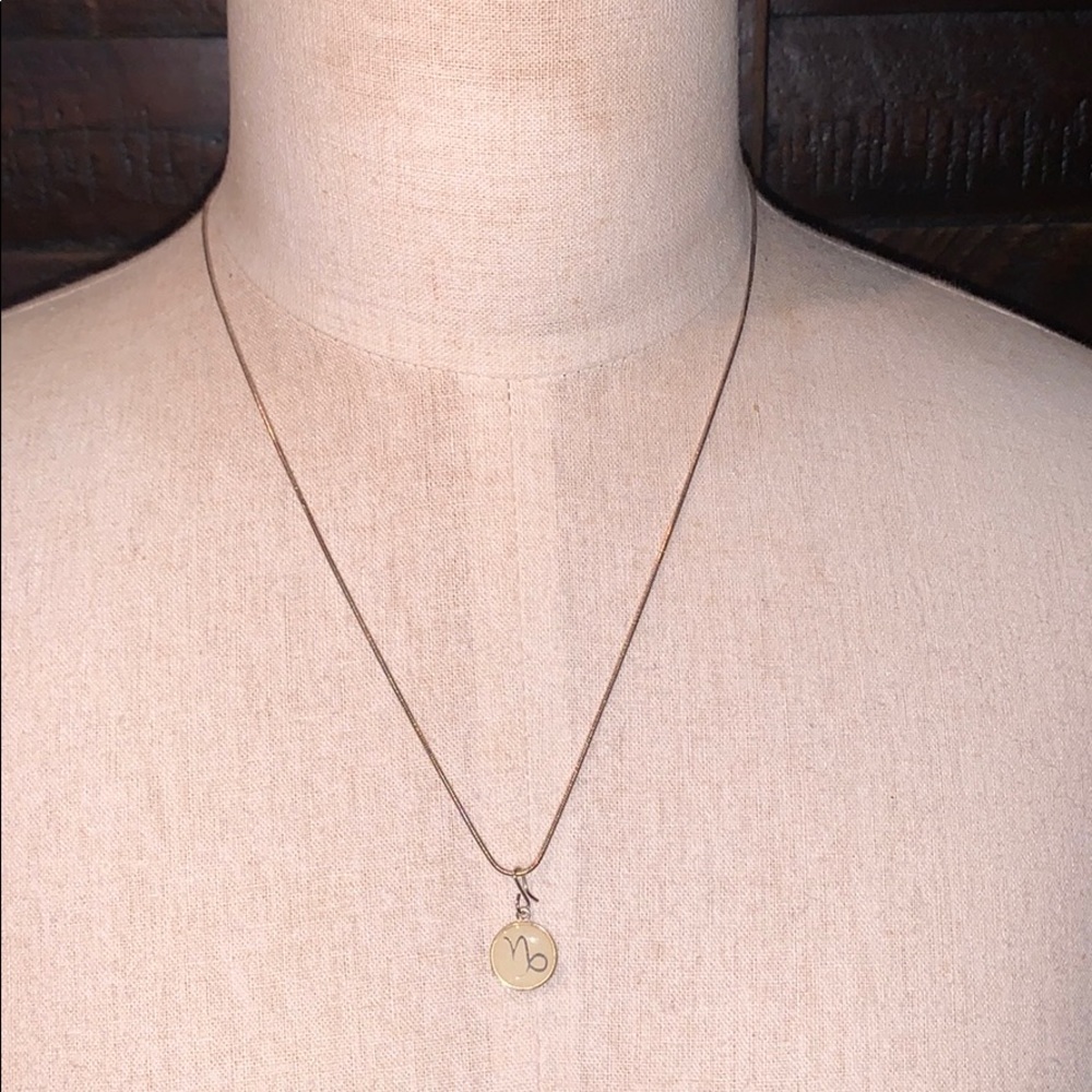 Capricorn Necklace